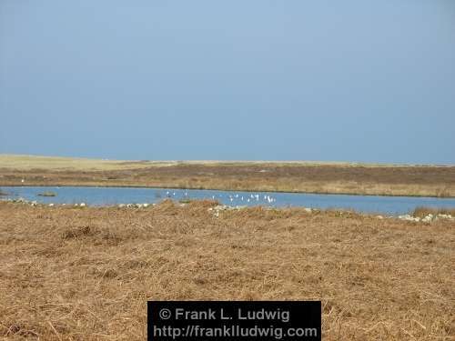 Inishmurray